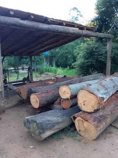 Toras de madeira prontas para o desdobro